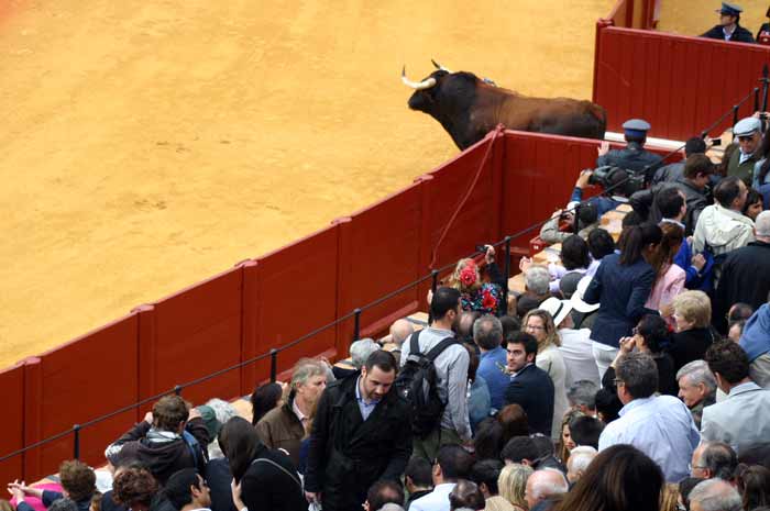 Sale el segundo y los movimientos ante la ausencia de escaleras es continuo.