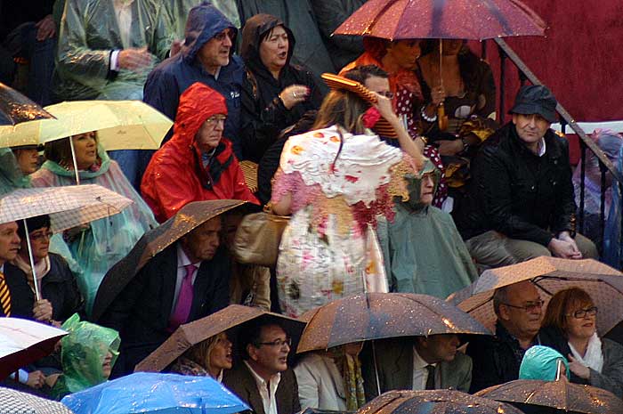 Una flamenca empapada decide huir hacia los pasillos interiores.