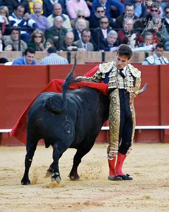 Gonzalo Caballero.