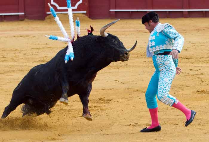 Banderillas.