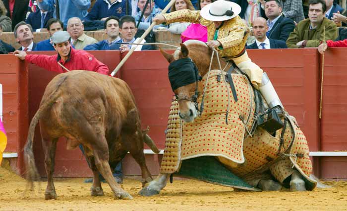 Picador en apuros.