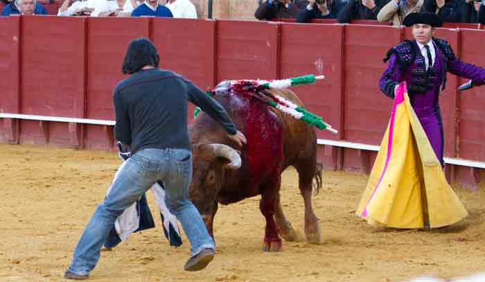 Un espontáneo casi a cuerpo limpio.