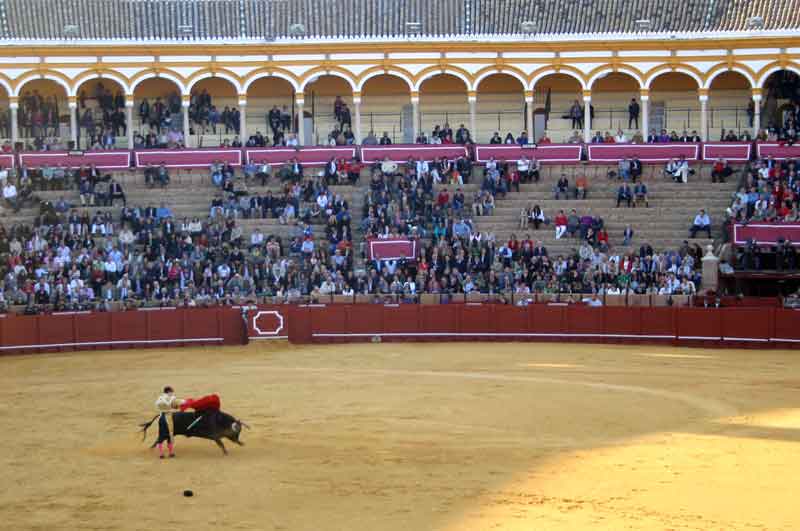 Más que islotes, en la sombra había auténticos archipiélagos de cemento.