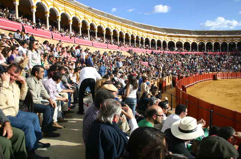 Hoy los tendidos y gradas de sol presentaban mucha mejor imagen.