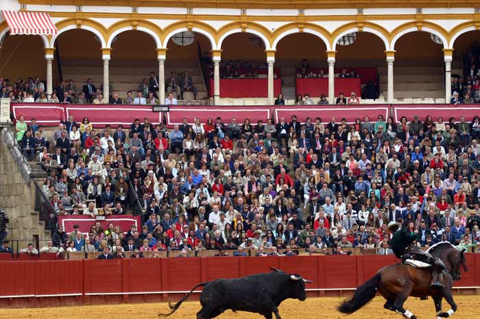 Los 'caballeros' maestrantes no asisten ya ni a la corrida de los caballos...