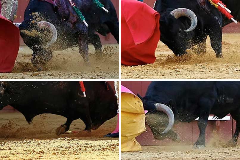 Los toros se ven obligados a desplazar gran cantidad de albero al quedar hundidas sus pezuñas en un albero demasiado suelto. (FOTO: lopezmatito.com)