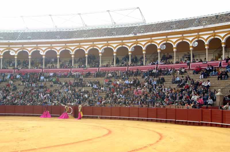 También grandes islotes en los impares de sombra.