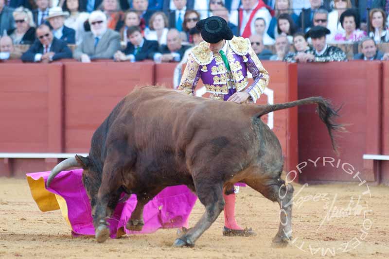 Alejandro Talavante.