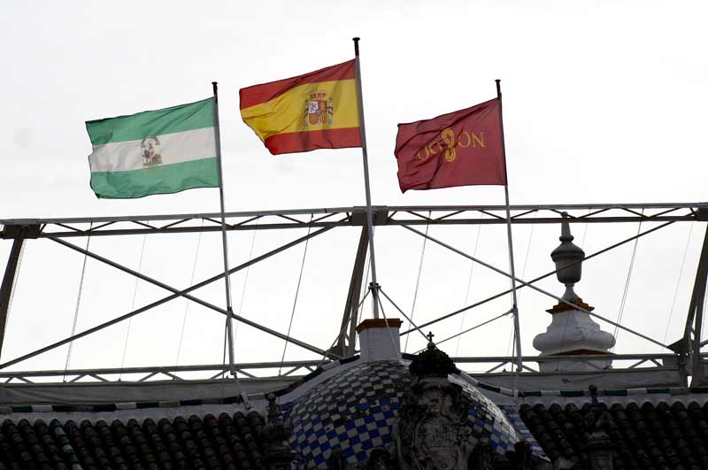 Hoy también sopló el viento.