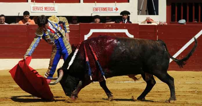 Antonio Barrera, en un derechazo a su primer toro hoy en Vic-Fezensac. (FOTO: mundotoro.com)
