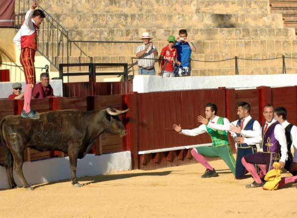 Recortadores 'Arte y emoción'.