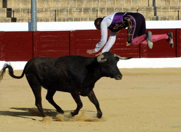 Recortadores 'Arte y emoción'.