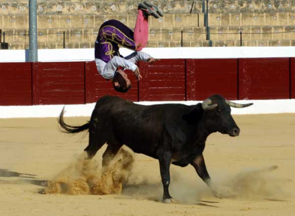 Recortadores 'Arte y emoción'.