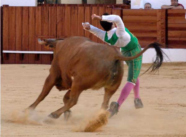 Recortadores 'Arte y emoción'.