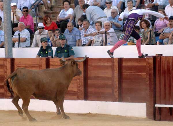 Recortadores 'Arte y emoción'.