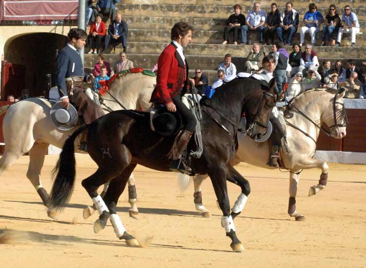 El paseíllo.