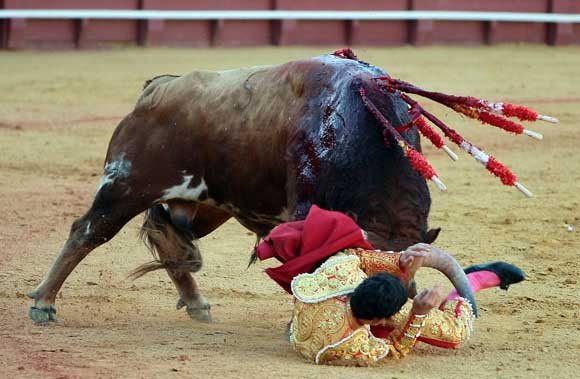 Pascual Javier.