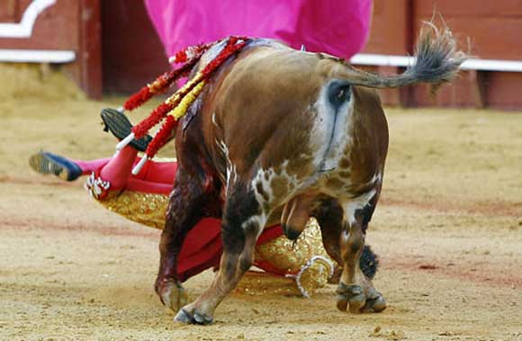 Pascual Javier.