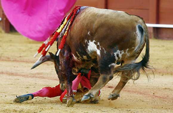 Pascual Javier.