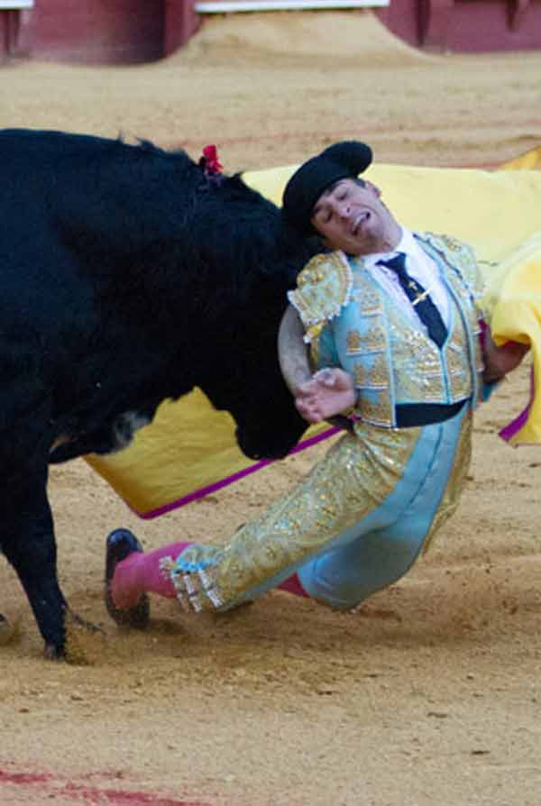 Dramática cogida de Rafael Cerro a portagayola; no hubo consecuencias. (FOTO: Paco Díaz/toroimagen.com)