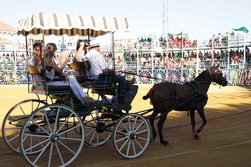 Exhibición de enganches.