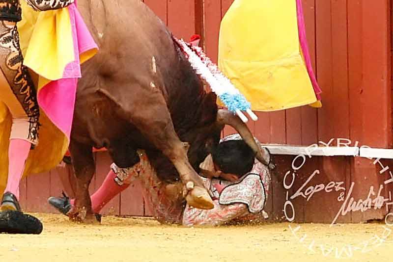 Luis Blázquez cogido contra las tablas en el primero, sin cornada. (FOTO: lopez-matito.com)