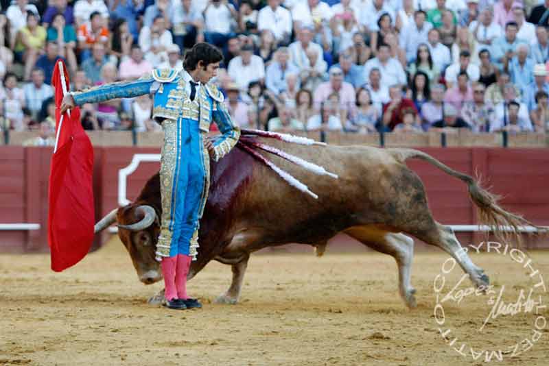 Sebastián Castella.