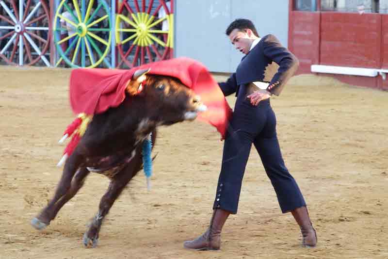 Fernando de la Torre.