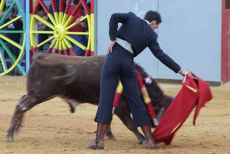 Fernando de la Torre.