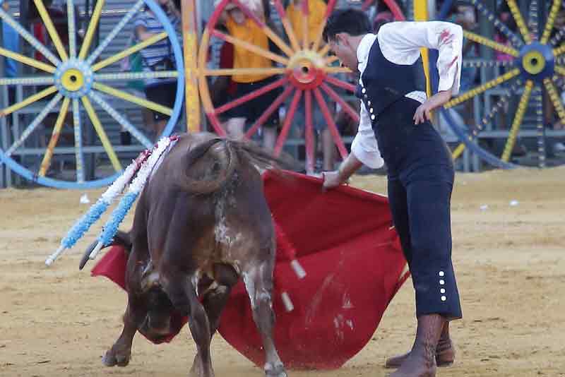 Fernando de la Torre.