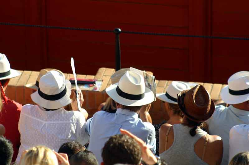 ¿Sombreros comprados en lote?