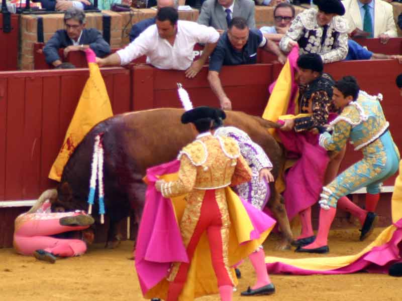 Luis Blázquez.