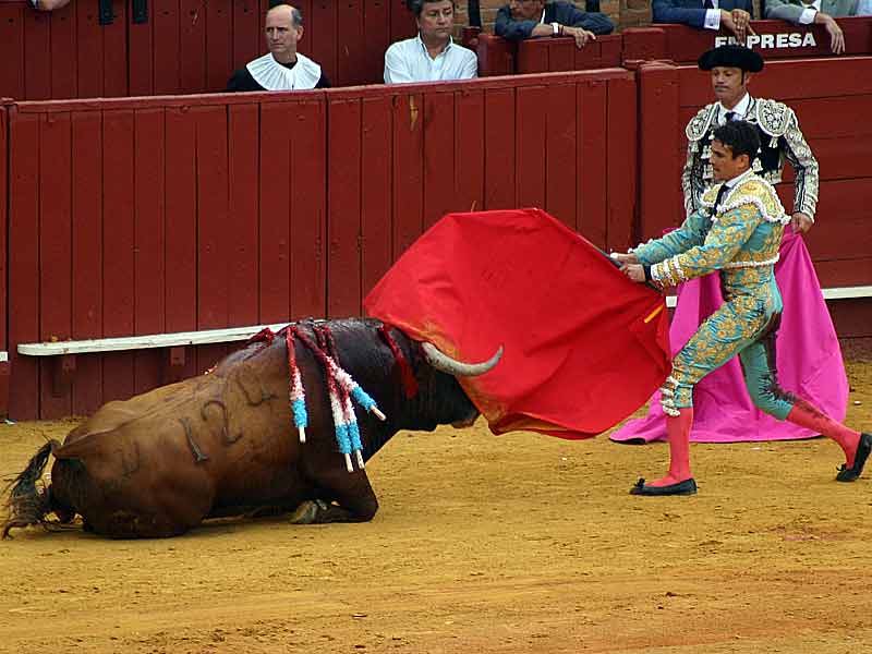 El tercero, de Juan Pedro Domecq, se murió él solito.