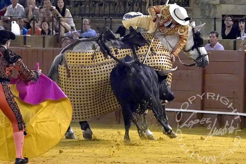 Apuros del picador.