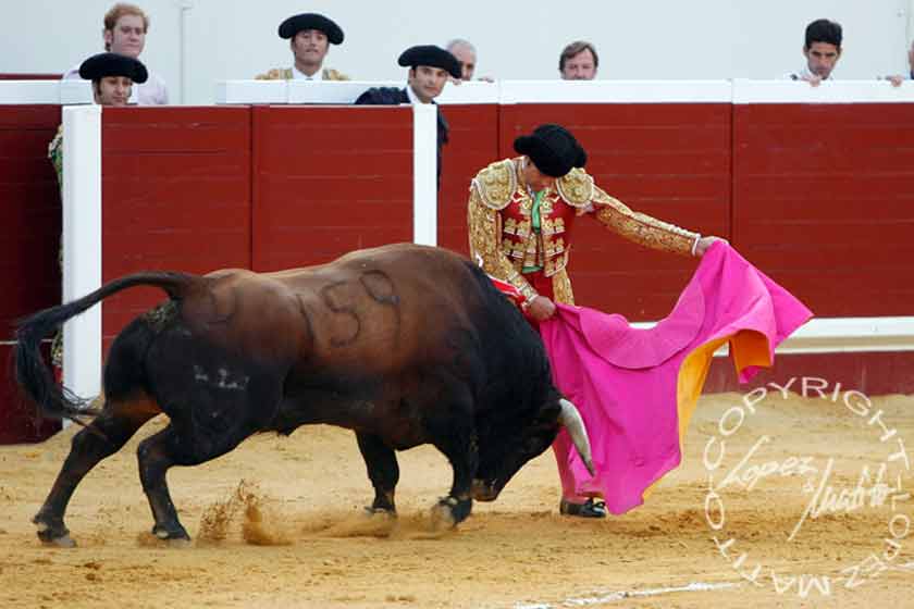 Pepe Luis Vázquez.