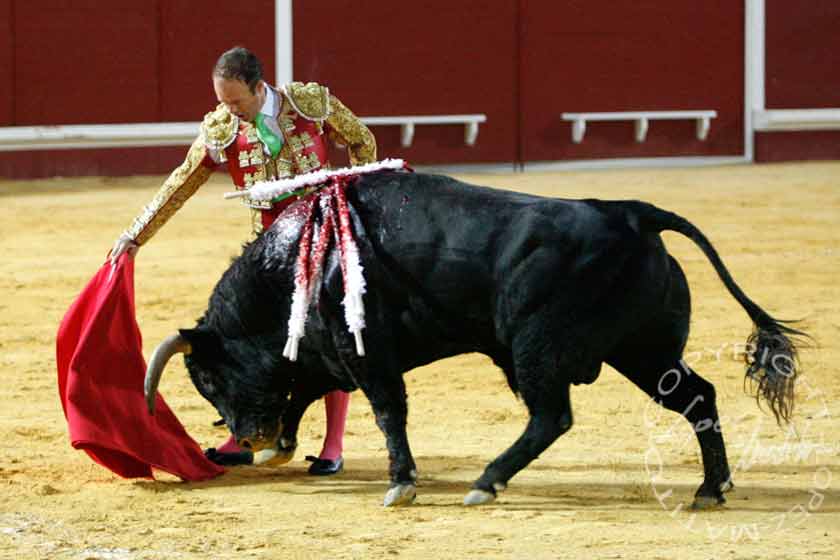 Pepe Luis Vázquez.