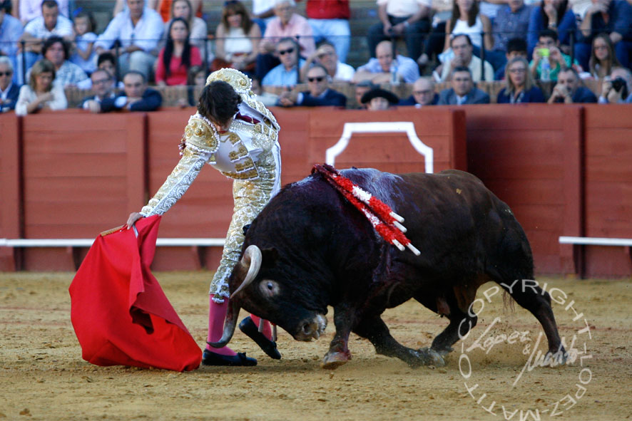 Antonio Nazaré.