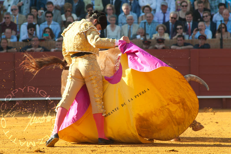 Morante de la Puebla.