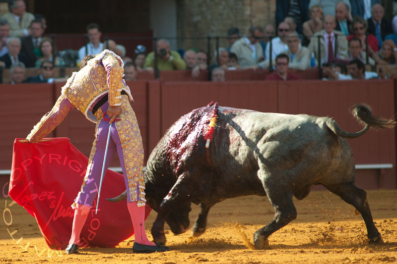 Manuel Jesús 'El Cid'.