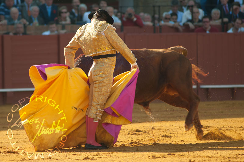 Morante de la Puebla.