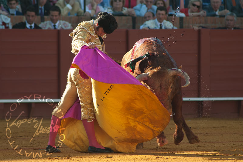 Morante ha destacado hoy de nuevo con el capote. (FOTO: lopezmatito.com)