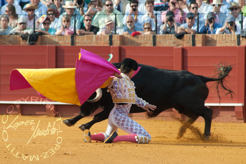 Sebastián Castella.