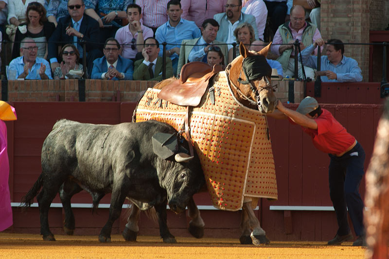 Un monosabio valiente ayuda al caballo.