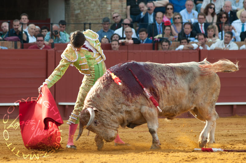 Antonio Nazaré.