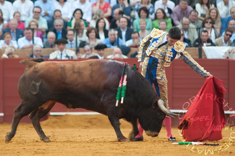 Alejandro Talavante.