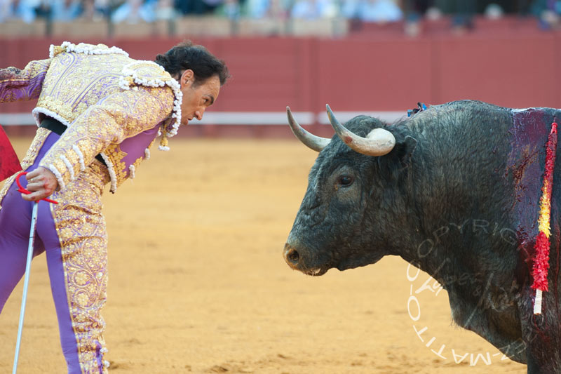 Manuel Jesús 'El Cid'.