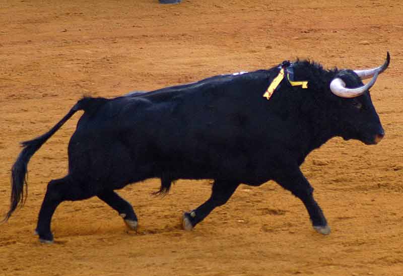 El sobrero tercero, de Victoriano del Río.