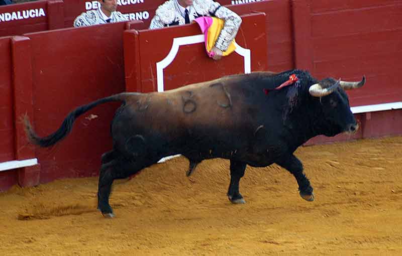 El cuarto, de Parladé.