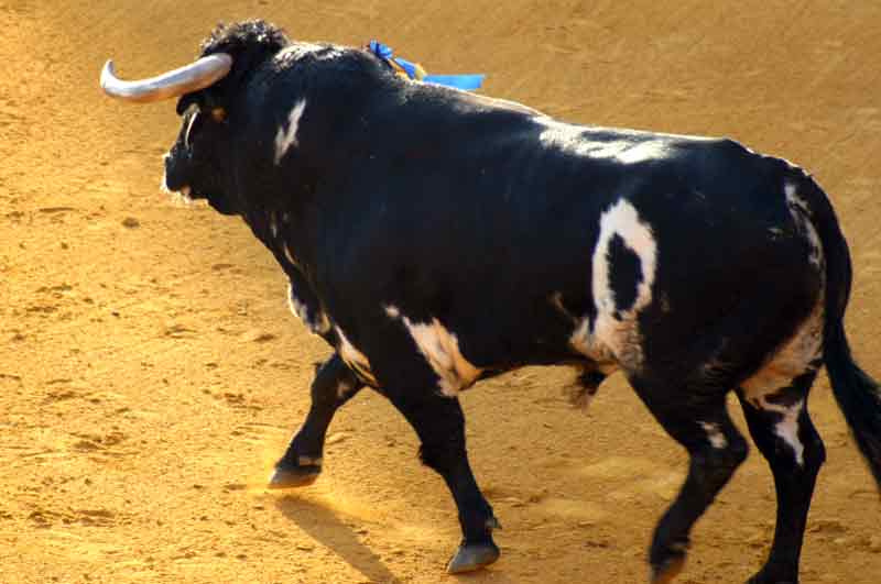 El tercero, de Torrestrella.