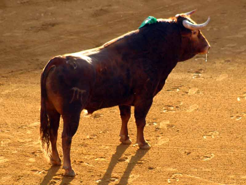 El cuarto, de El Pilar.